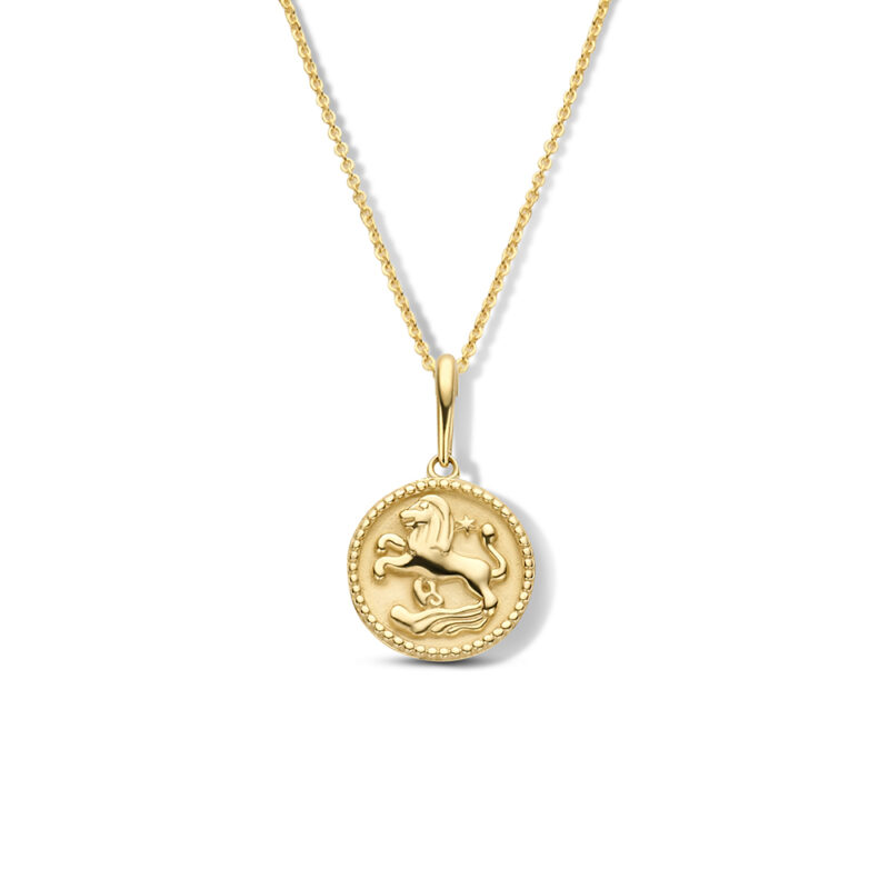 Ketting | Zodiac | Kies je sterrenbeeld | 14K GOUD