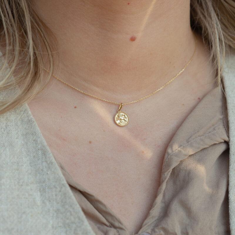 Ketting | Zodiac | Kies je sterrenbeeld | 14K GOUD - Image 2